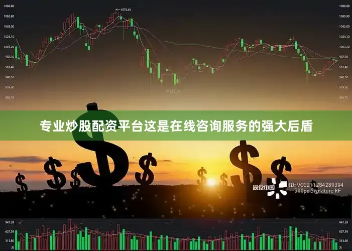专业炒股配资平台这是在线咨询服务的强大后盾