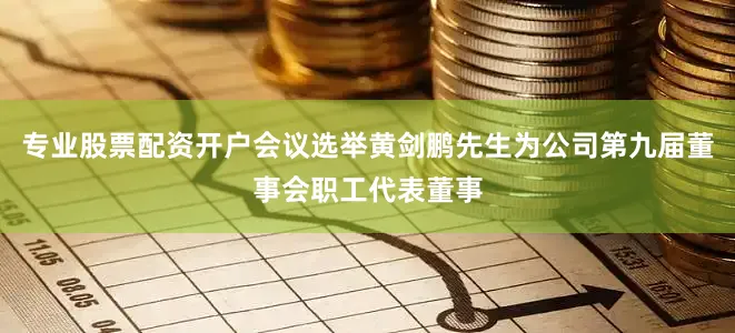 专业股票配资开户会议选举黄剑鹏先生为公司第九届董事会职工代表董事